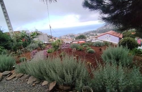 Ponta do Sol Casa | Charming lodge in Ponta do Sol with private pool