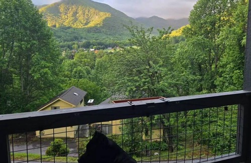 Valley Creek Run Casa | Charming Mountain Retreat in Maggie Valley