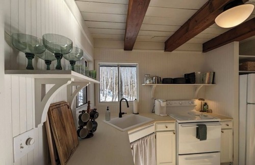 Flat Hollow Marina Cabina | Charming Norris Lake Cabin with views and boat slip @ Marina!