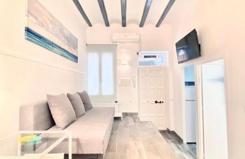 Las Acacias Apartamento | Charming Paseo de los Olmos