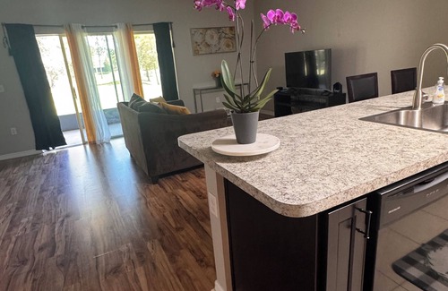 Balm Casa | Charming & Peaceful 3-Bedroom Townhome with Lakeview & Amenities