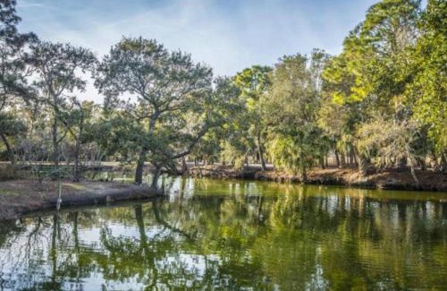 Folly Beach Apartamento | Charming Quiet 1 Bd Condo