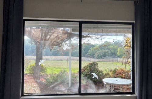 Penngrove Cabaña | Charming Relaxing Cottage on Sonoma Mountain
