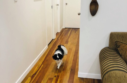 Stokes Valley Casa | Charming Room available in Stokes Valley, Lower Hutt