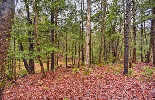Town of Bleecker Casa | Charming Rural Retreat Great Sacandaga Lake Area!