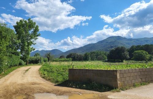 La Cellera de Ter Casa | Charming rustic house - near river and forest