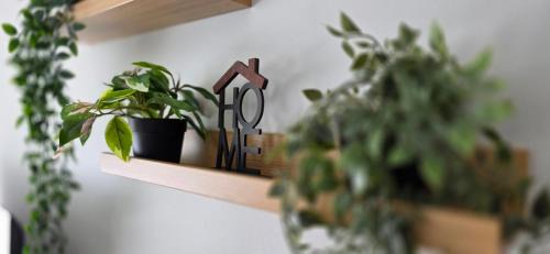 Parnu Apartamento | Charming seaside escape
