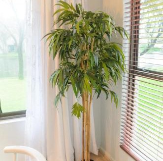 Strand Apartamento | Charming Self-catering Apartment