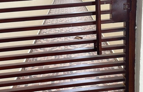 Choloma Apartamento | Charming studio in marvelous Choloma with AC, WiFi