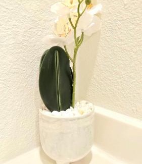 Mobile Casa | Charming & Stylish in Mid-Town