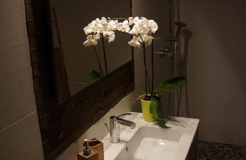 Le Moule Cabaña | Siguiendo el encanto, spa privado, verdes, 4 personas