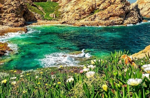 Casamozza Casa | Charming T2 between sea and mountain