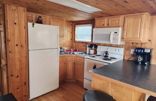 Moore Cabina | Charming tiny home cabin in peaceful Moore