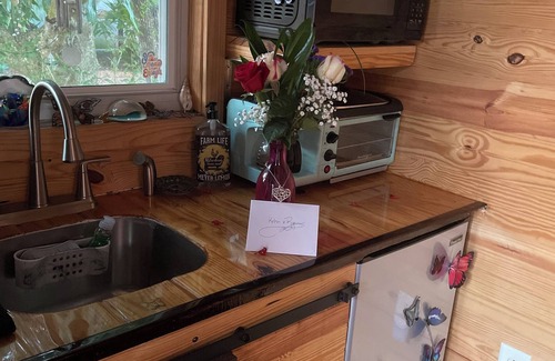Sarasota Springs Cabaña | Charming tiny house with AC and WiFi in delightful Sarasota.Private and quiet.