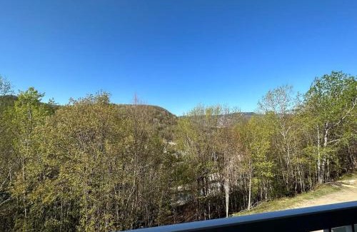 Mont-Tremblant Village Apartamento | Charming Tremblant 1 Bedroom -Pool Hot Tub