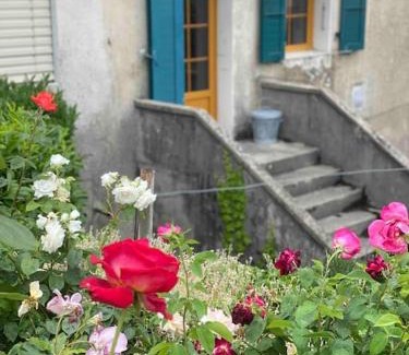 Mont-sur-Rolle Casa | Charming Vinyard House - Lake Geneva