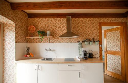 Mont-sur-Rolle Casa | Charming Vinyard House - Lake Geneva