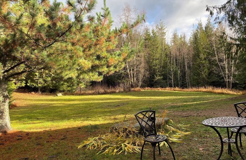 Boundary County Cabina | Charming yurt nestled in a private forest!