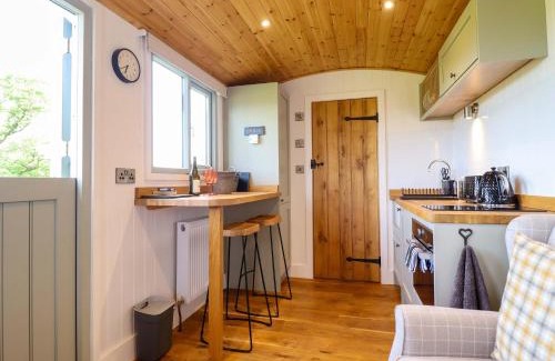 Oswestry Casa | Charollais