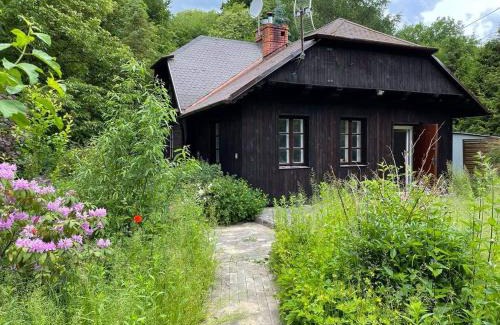Kazimierz Dolny Villa | Chata Wróżki Mrozowej