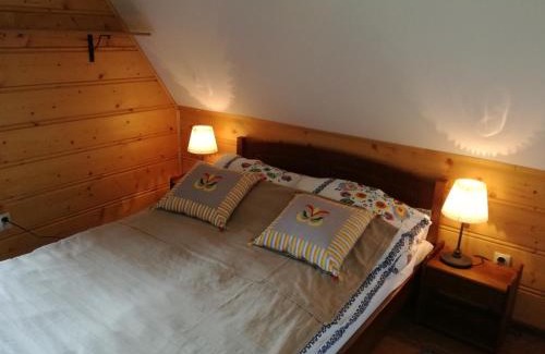 Cisna Chalet De Esquí | Chatka Kudłatka