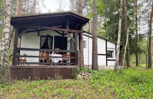 Skrzeszew Casa | Chatka Poddębie