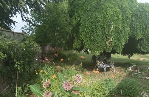Donnemain-Saint-Mames Casa | Chaumière Avec sa Toiture en Chaume