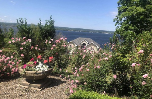 Niobe Apartamento | Chautauqua 2 BR Lakefront Apartment