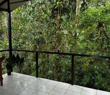 Katira Otro | Chava Lodge On Tenorio Rio Celeste