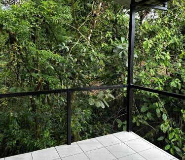 Katira Otro | Chava Lodge On Tenorio Rio Celeste