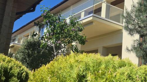 Prymors'kyi district Villa | Chayka Resort
