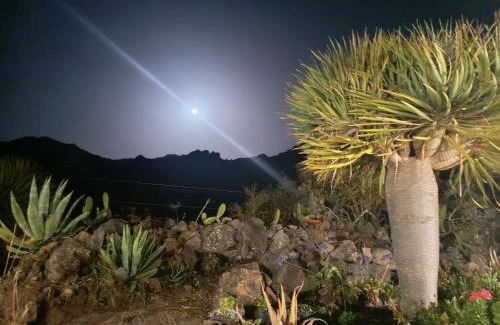 Buenavista del Norte Casa | CHC - Casa Rural Dracaena