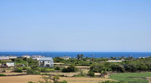Hallim Casa | Check-in Jeju Private Full Stay