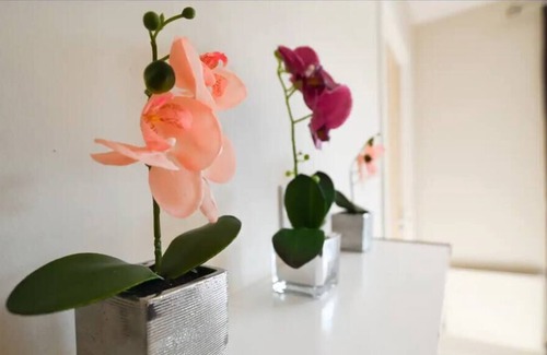 Reading Casa | Cheerful - 5 bedroom house with parking