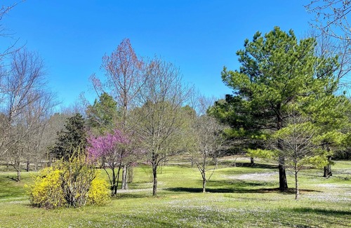 Plainview Cabina | Cheerful cabin with KING bed and WiFi, AC in charming Plainview