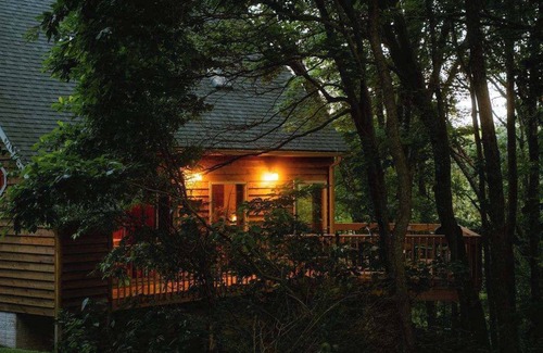 Rockbridge Cabina | Cheerful Two Bdrm Cabin With Hot Tub & Pet Friendly