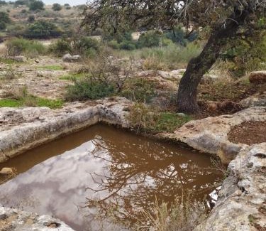 Kahal Complejo | Chen Ba'Galil