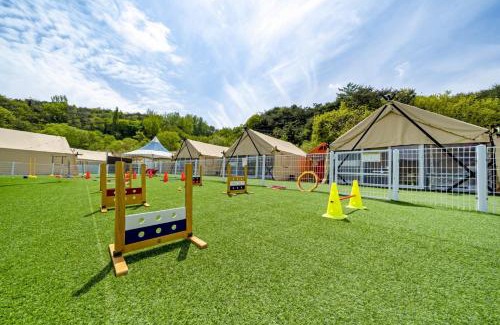 Cheongdo Otro | Cheongdo Shinnanda Aegyeon Glamping