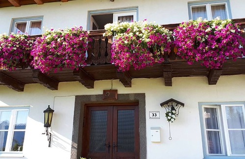 Tiefgraben Otro | Flor de cerezo - patio de salud Daxinger