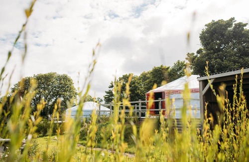 Newquay Cabina | Cherry-Dog - A spacious luxury Yurt in 62 acre historic estate near Newquay. Dog friendly