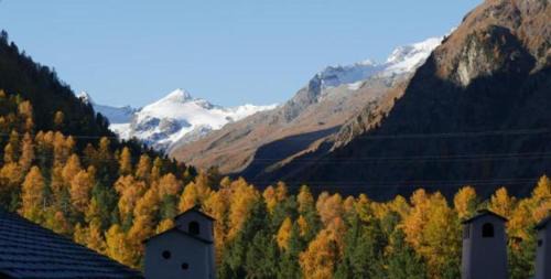Pontresina Apartamento | Chesa Delfin