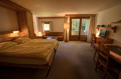 Silvaplana Apartamento | Chesa Munteratsch 1-Zimmerwohnung 206 Typ B
