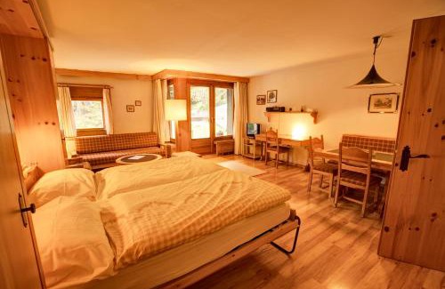 Silvaplana Apartamento | Chesa Munteratsch 1-Zimmerwohnung 106 Typ B