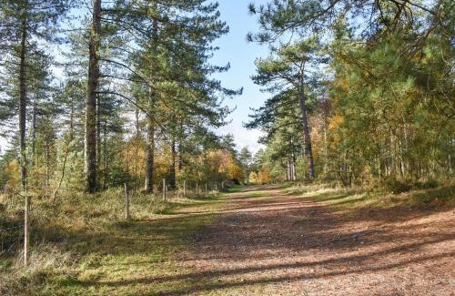 Sandford Casa | Chestnut House