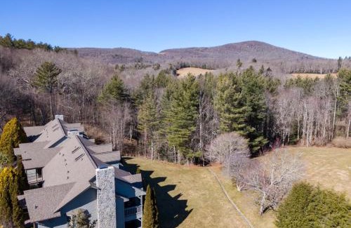 Blowing Rock Casa | Chetola: Chestnut 8