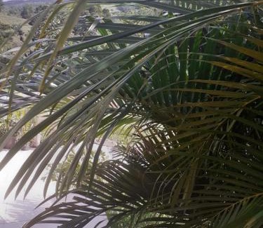 Riviere-Salee Casa | CHEZ COCO appartement BALISIER
