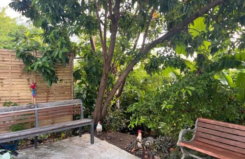 Bouillante Apartamento | Chez Coco et Fredo