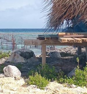 Vaitape Otro | Chez Hina no Pacifica