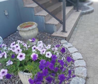 Schaeffersheim Casa | Chez Jeanine Maison Familiale