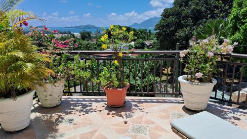 De Quincey Village Casa | CHEZ LORNA 3 nights or plus